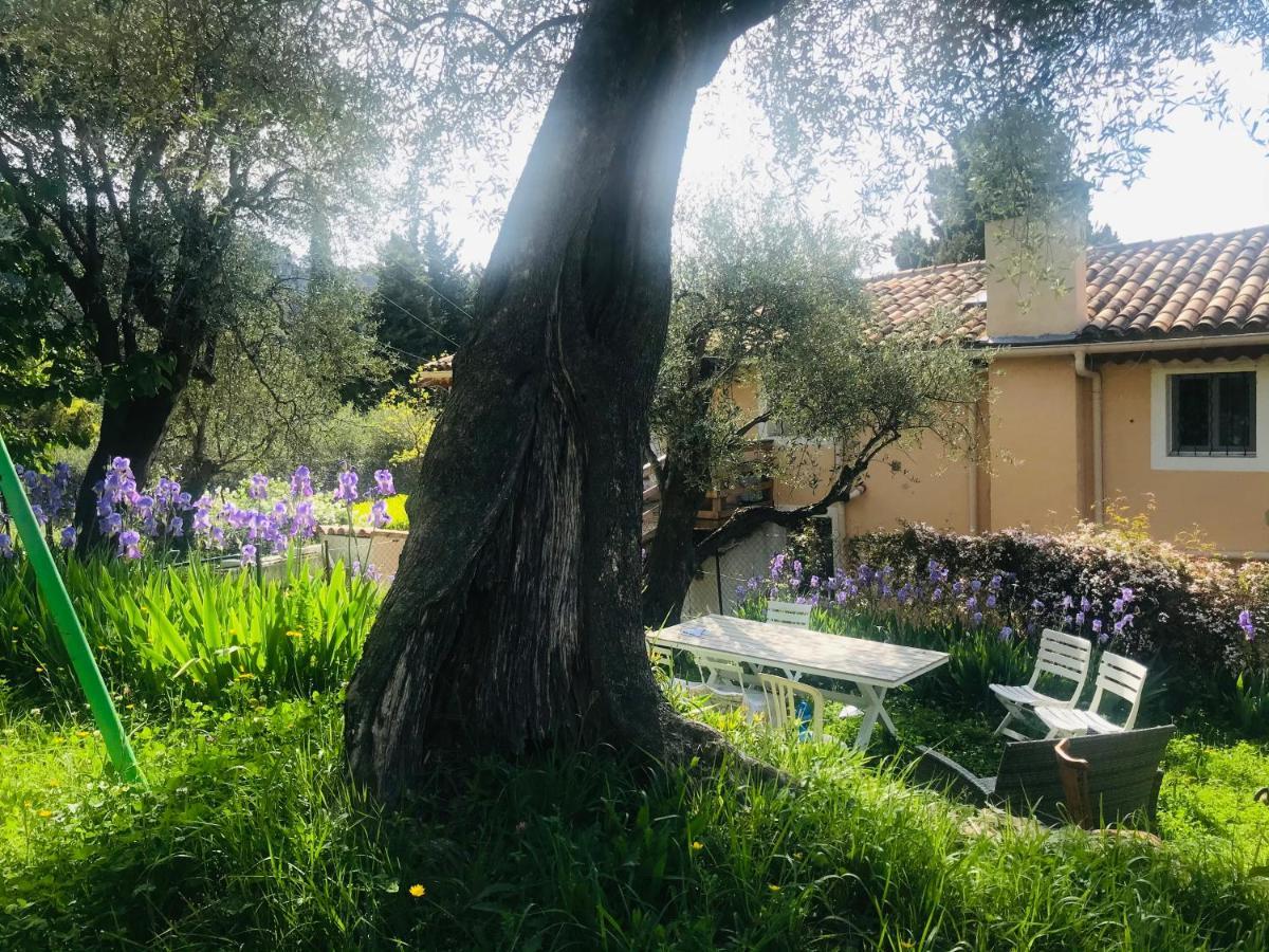 Residence Lou Naouc Grasse Bagian luar foto