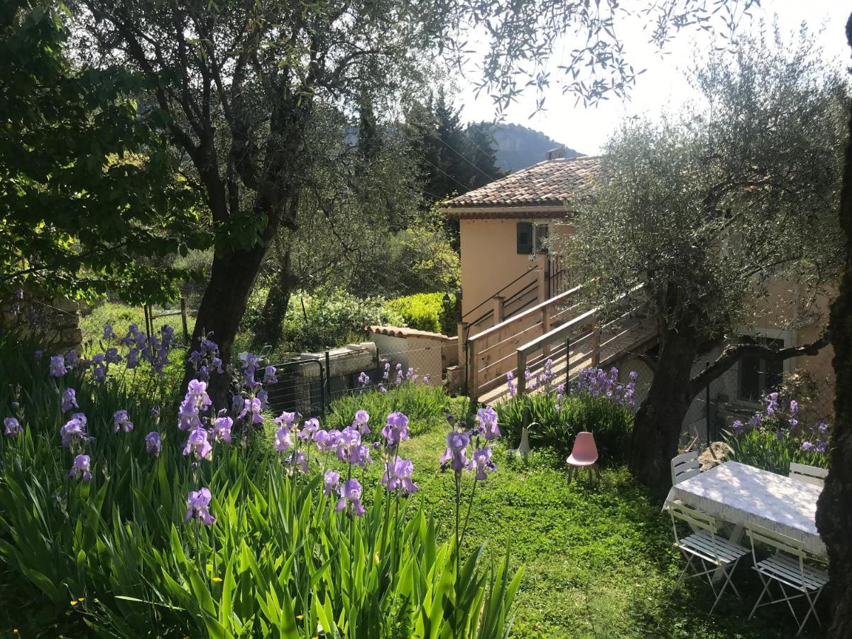 Residence Lou Naouc Grasse Bagian luar foto