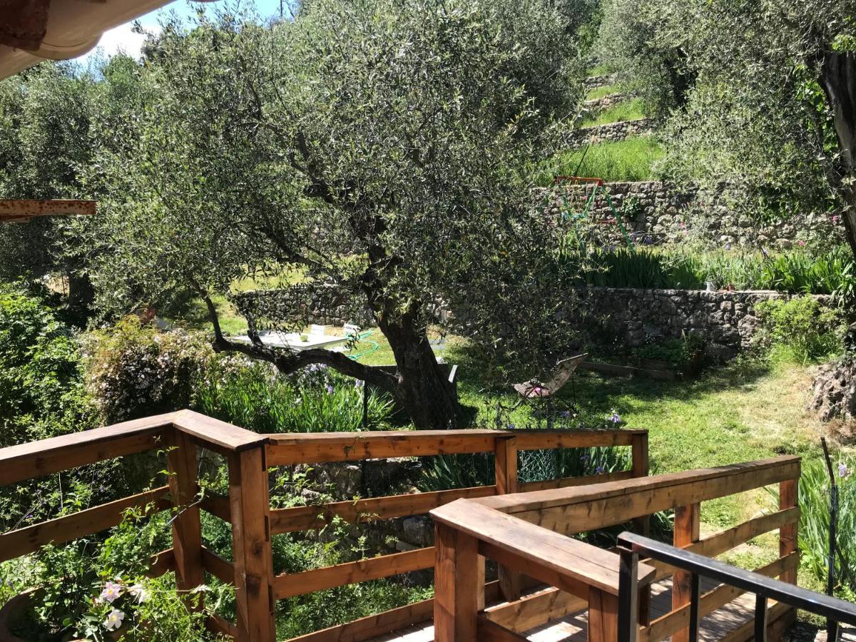 Residence Lou Naouc Grasse Bagian luar foto