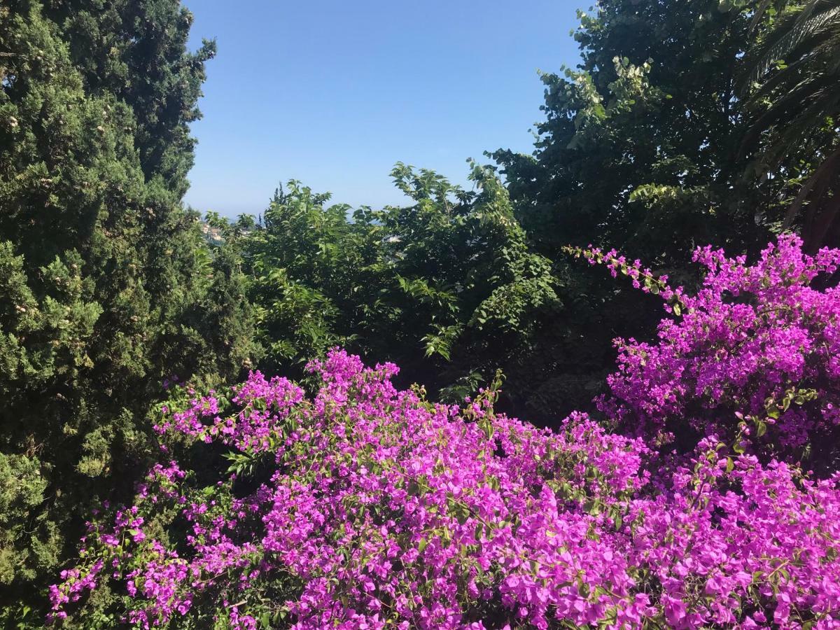 Residence Lou Naouc Grasse Bagian luar foto